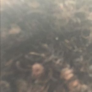 Meet your Posher, Jace